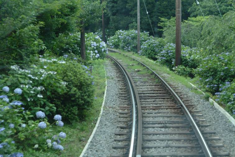 鉄道模型レイアウト箱根登山鉄道20060814-2.jpg